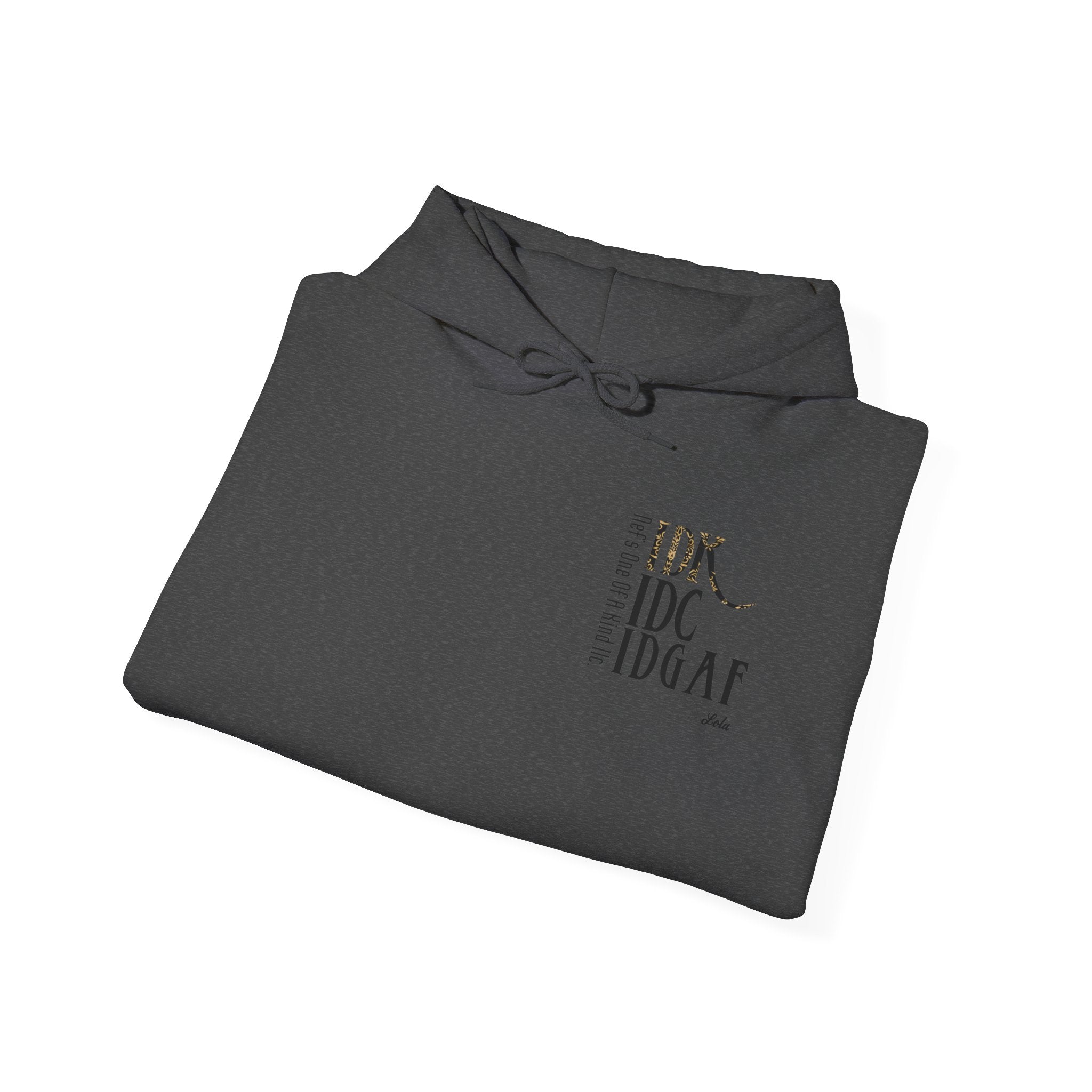 IDC Logo Hoodie